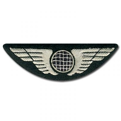 Pilot Wing Classic Globe Silver with back hooks