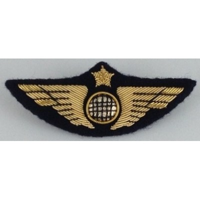 Ailes de Poitrine Pilote Or à Crochets