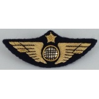 Ailes de Poitrine Pilote Or à Crochets