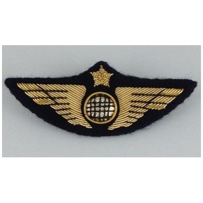 Ailes de poitrine pilote Or