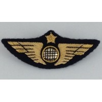 Ailes de Poitrine Pilote Or à Crochets