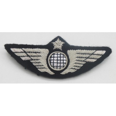 Ailes de Poitrine Pilote Platine à Crochets