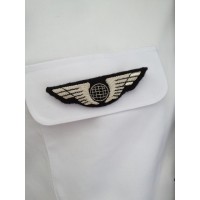 Ailes de poitrine PNC