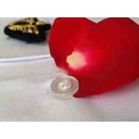 Pilot Shirt "Slim Fit" Long or Short Sleeves