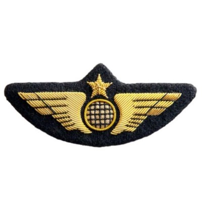 Pilot Wing Gold with embroidered Earth Globe on felt to sew