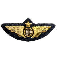 Aile de Poitrine Pilote Avion Dorée  sur Feutrine rigide découpée