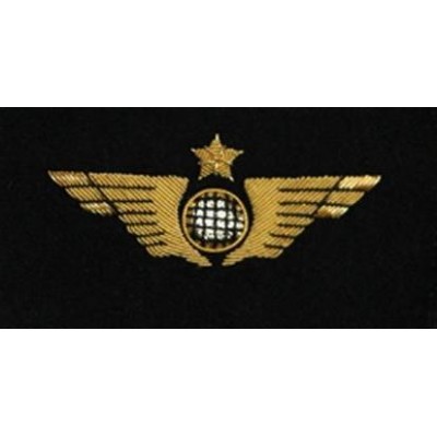 Aile de Poitrine Pilote Avion Doré à Plat A COUDRE Brodée sur Feutrine