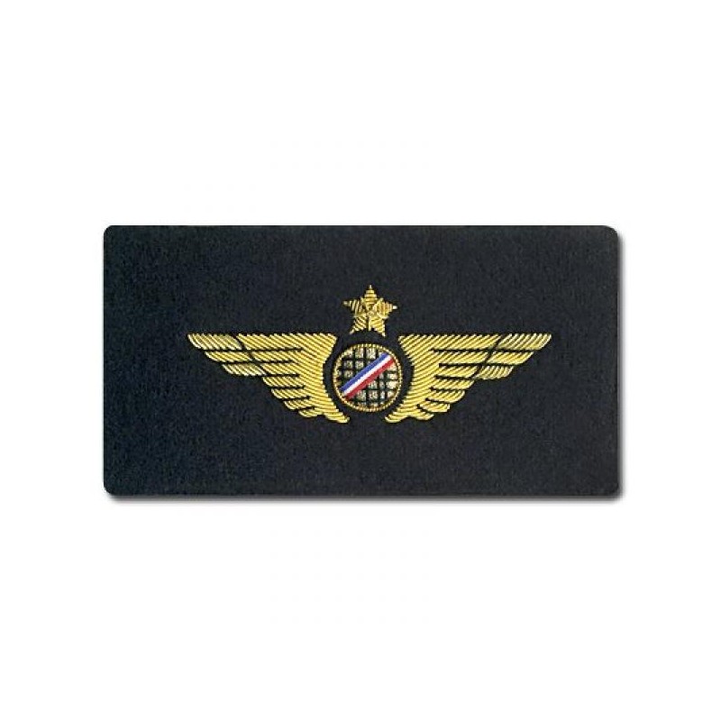 Aile de Poitrine Pilote Avion Doré à Plat A COUDRE Brodée sur Feutrine