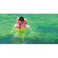 Fluoresceine en Sachet poudre sous Pochette étanche soudée