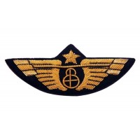 Pilot Wing Classic Globe Gold