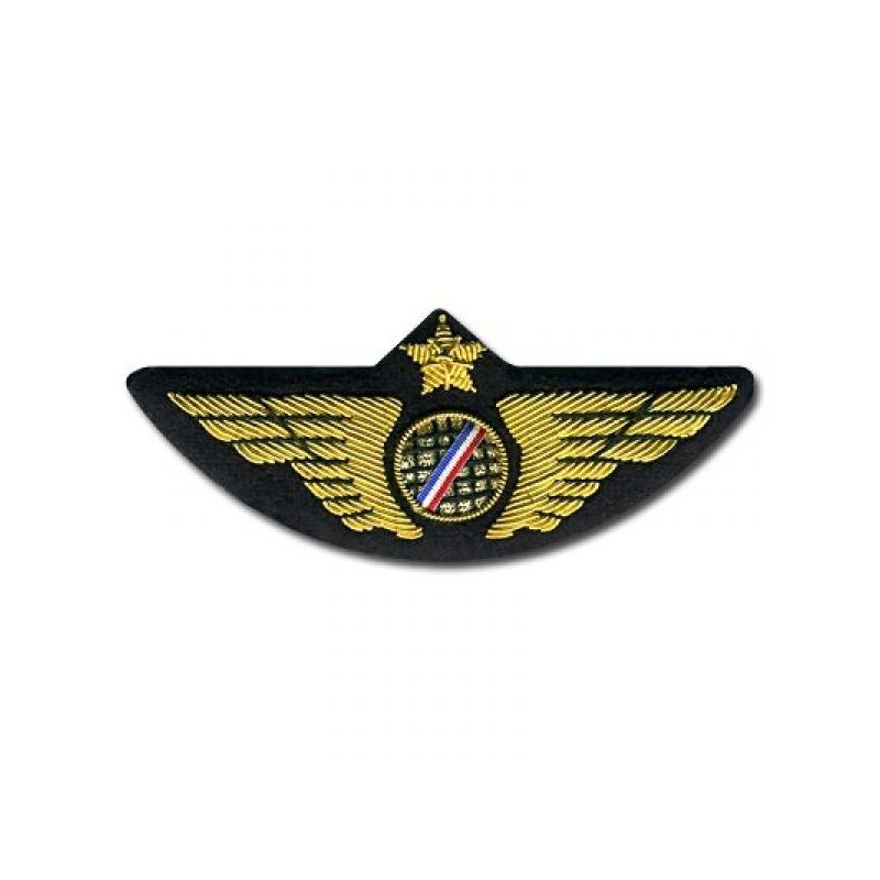 Pilot Wing Gold with Bleu White Red stripes - SECURITY PIN