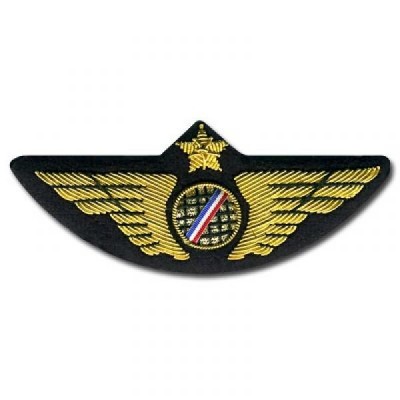Pilot Wing Gold with Bleu White Red stripes - SECURITY PIN