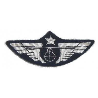 Single Globe Chest Wings in Silver with a Security Pin