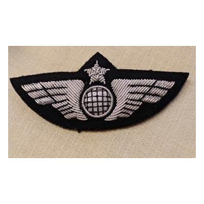 Pilot Wing Classic Globe Silver with Security Pin