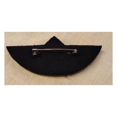 Pilot Wing Gold with Bleu White Red stripes - SECURITY PIN